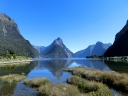 fjordland (10)